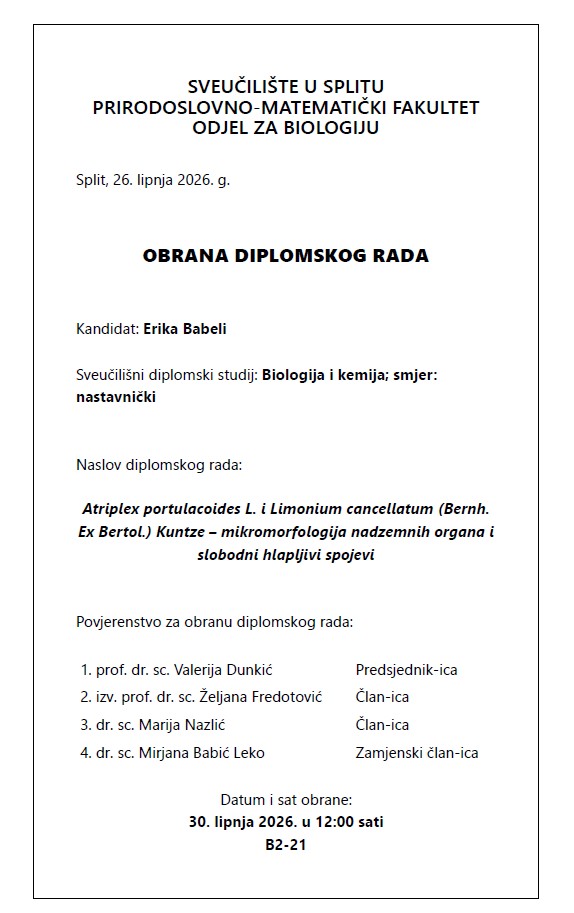 erika-babeli