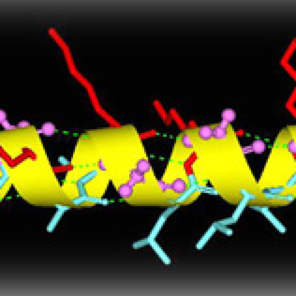 Grupa za biofiziku antimikrobnih peptida: konstrukcija, sinteza i karakterizacija