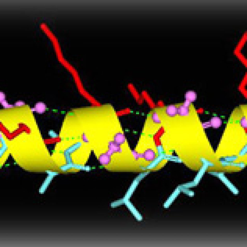 Antimicrobial Peptide Biophysics – construction, synthesis and characterisation