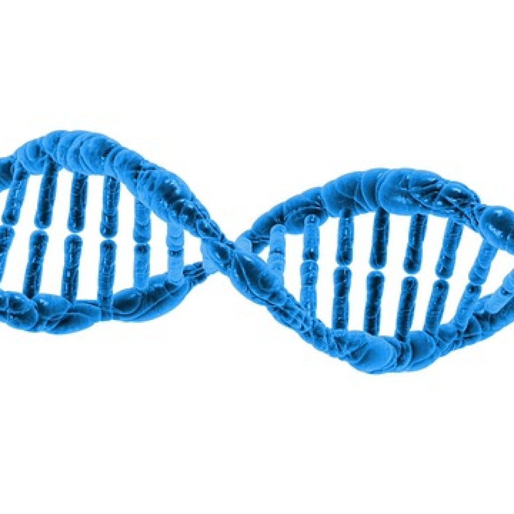 Genetics and molecular biology group