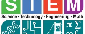 stem