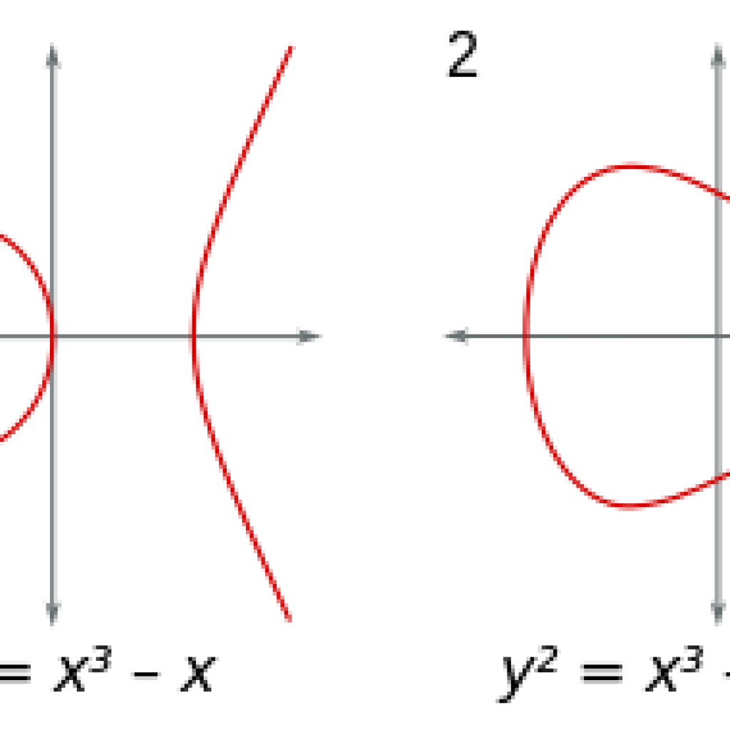 Number theory group